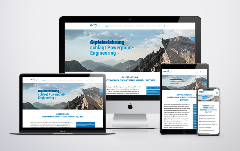 Webseite der IMIG AG